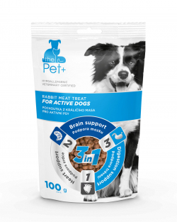 For Active Dogs